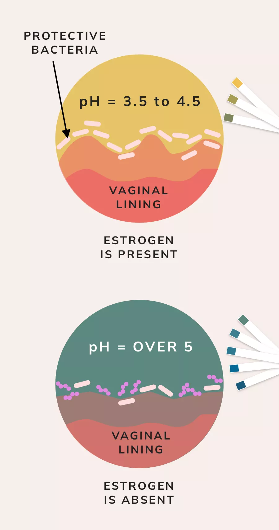 Symptoms and signs of estrogen deficiency and vaginal atrophy 4,8