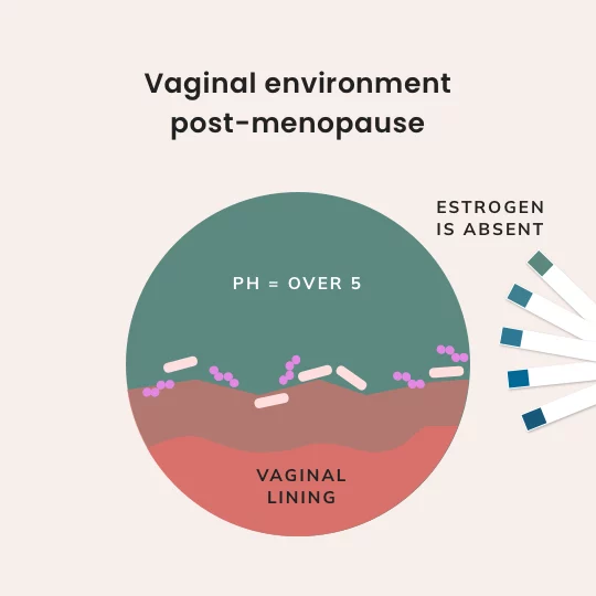 Vulvovaginal symptoms after menopause