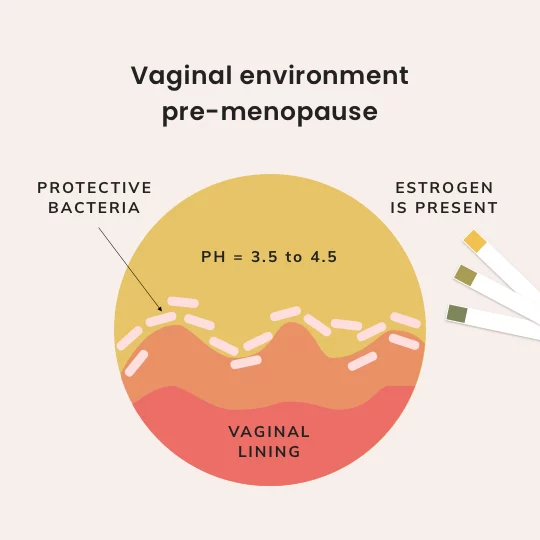 Vulvovaginal symptoms after menopause