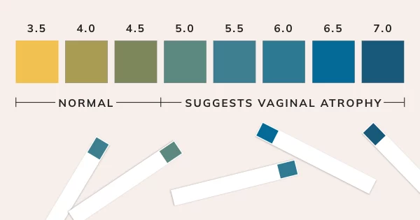 What Does Vaginal Atrophy Look and Feel Like?